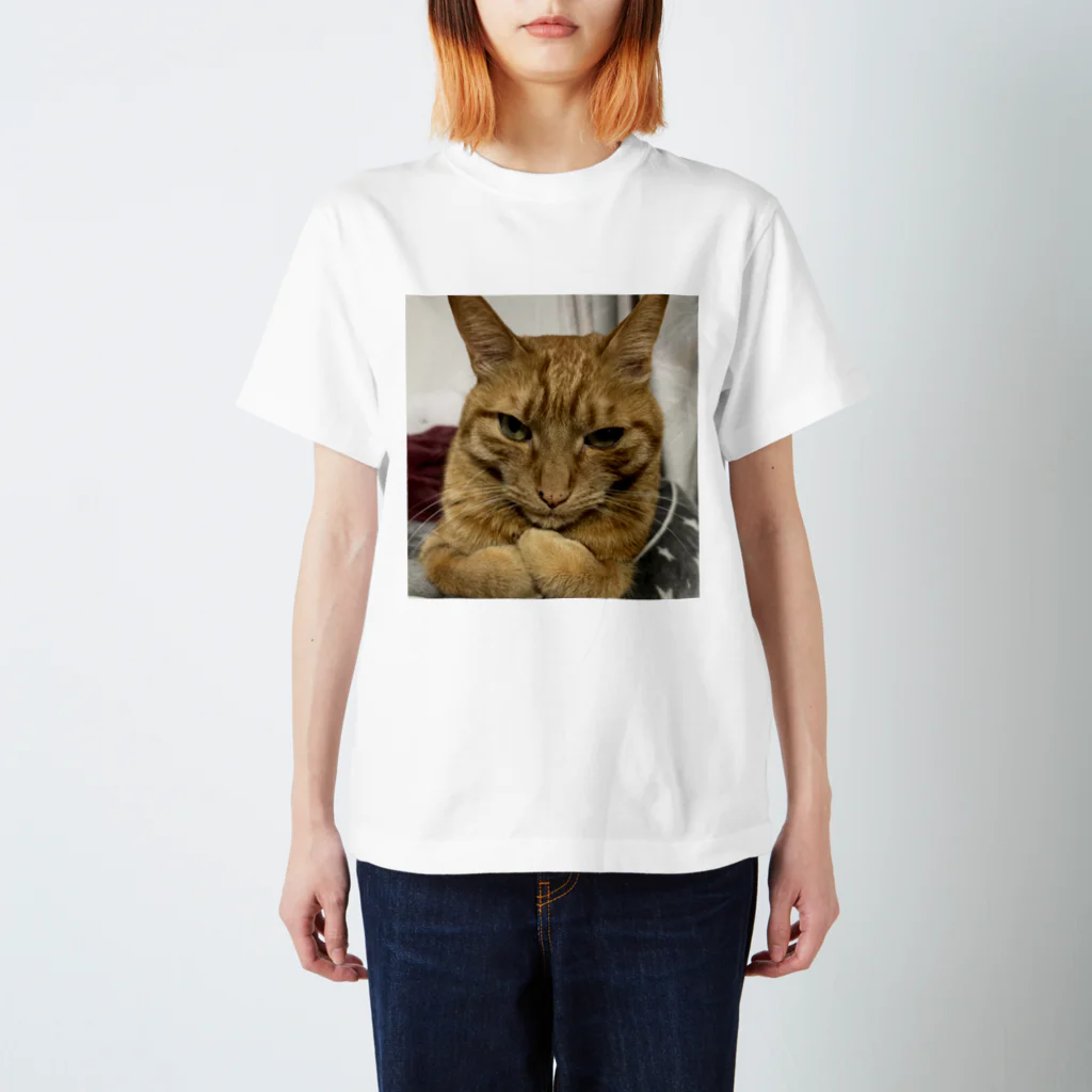 ミシン工房Mayの猫好きさんのトラくんTシャツ Regular Fit T-Shirt