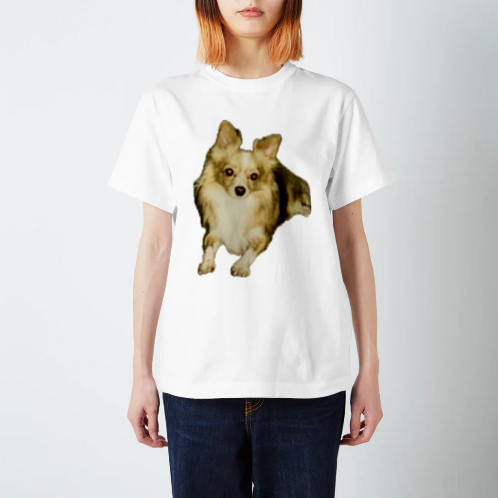 ゲドテコデータプールセンターの犬1号 スタンダードTシャツ