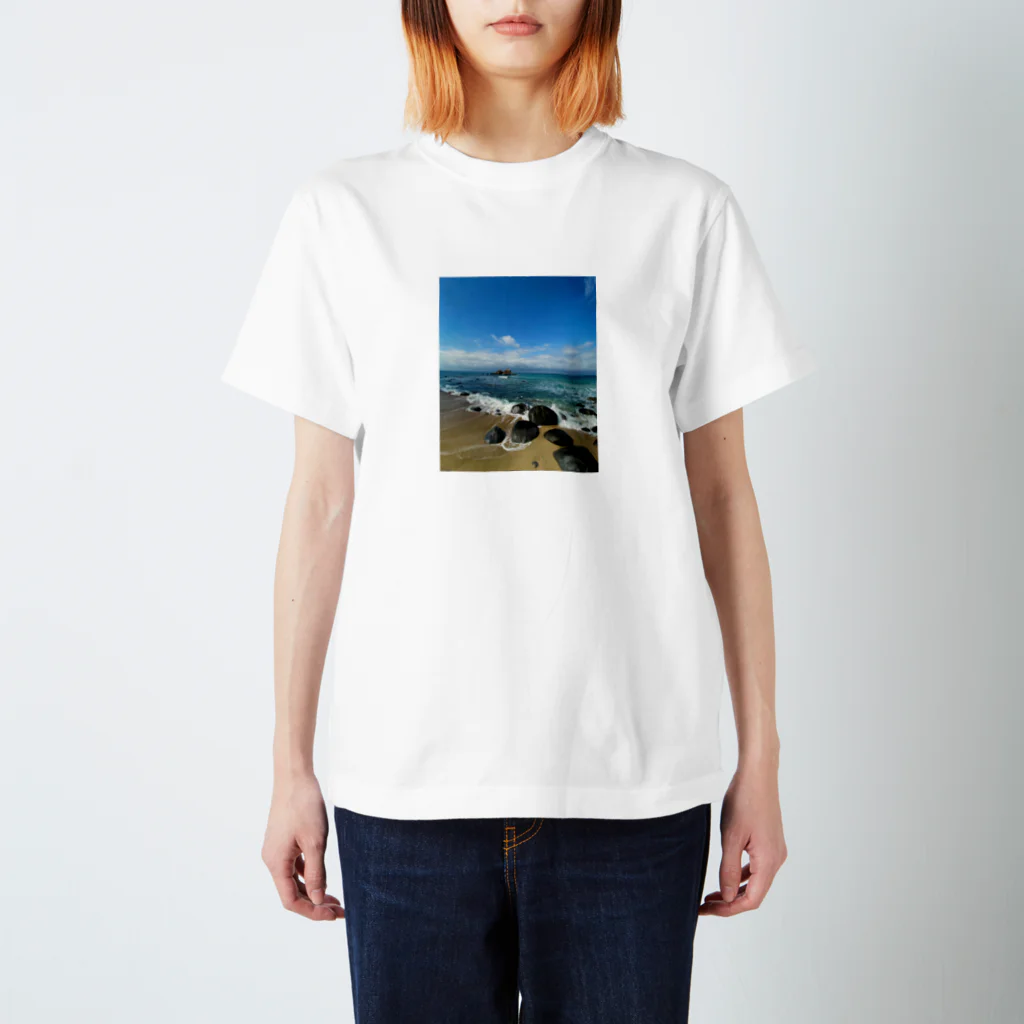 おさかなだいすきの綺麗な海 Regular Fit T-Shirt