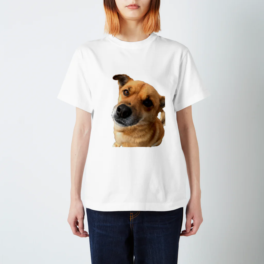 OSAKA NEIGHBORの雑種犬こたろうくん スタンダードTシャツ