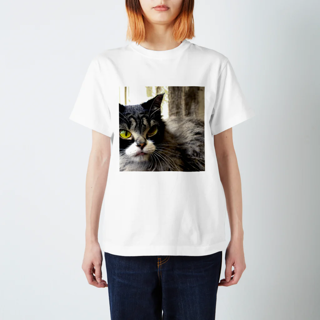 ねこ達と一緒の疲れた身体をいやすねこちゃん Regular Fit T-Shirt