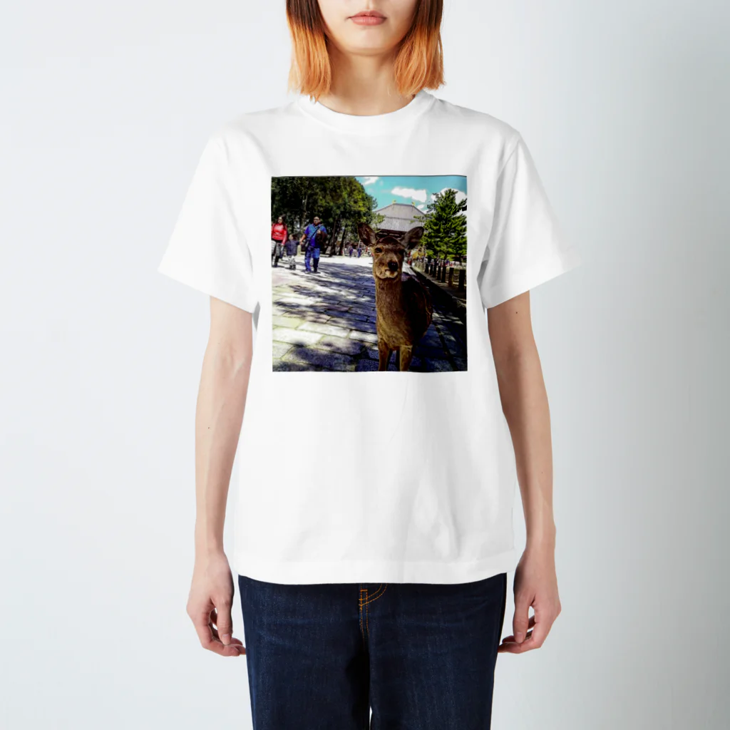 ならばー地亜貴(c_c)bのカメラ目線の奈良の鹿 スタンダードTシャツ