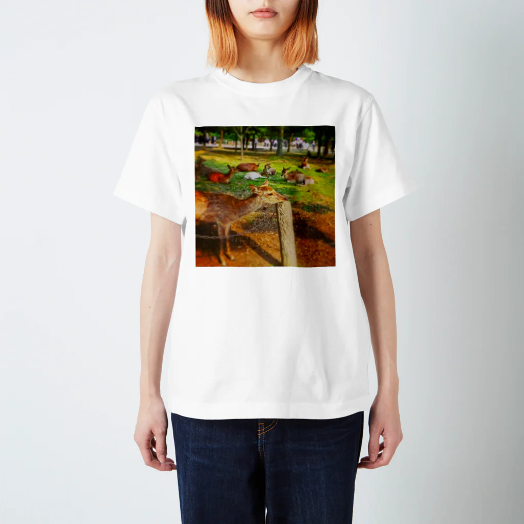 ならばー地亜貴(c_c)bのあごのせ奈良の鹿 Regular Fit T-Shirt