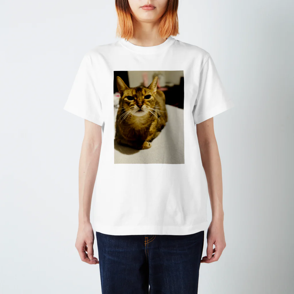 ゆるやかな、ねこのゆるやかな、ねこ(かわいい) スタンダードTシャツ