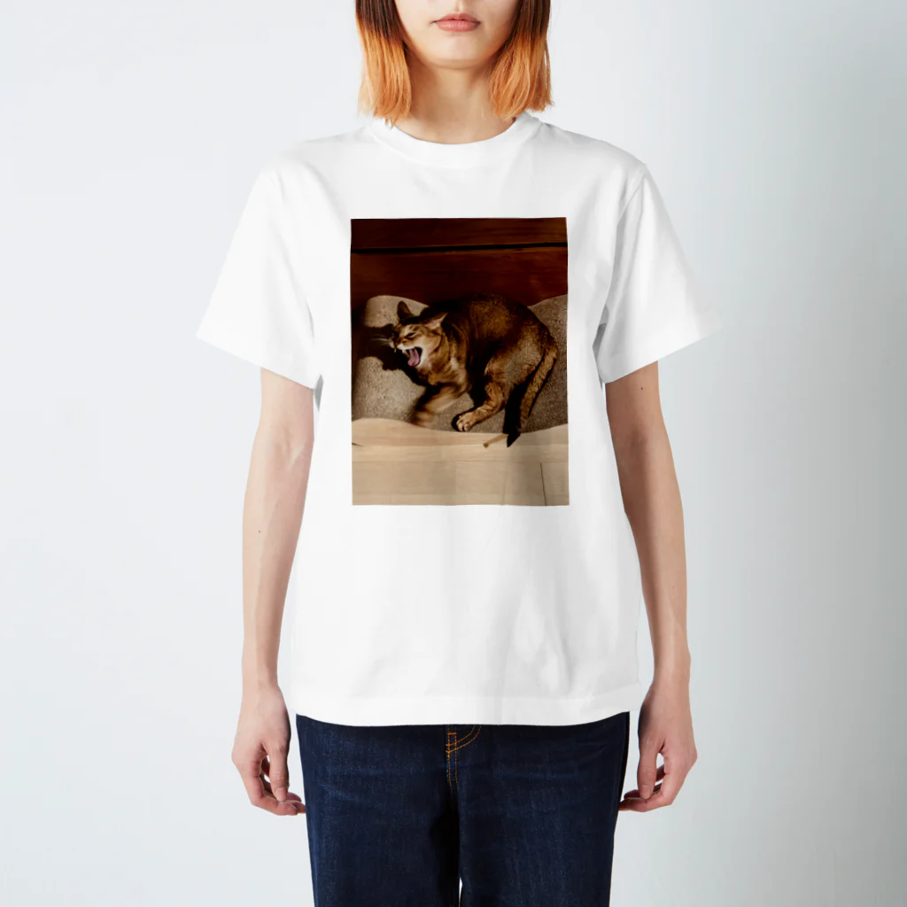 ゆるやかな、ねこのゆるやかな、ねこ(ねむい) Regular Fit T-Shirt