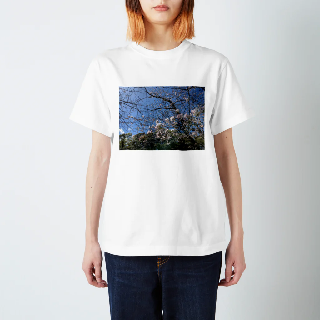金色の闇「一松」@ﾏｼﾞﾜｯﾁｬなのんの桜が散る頃に スタンダードTシャツ