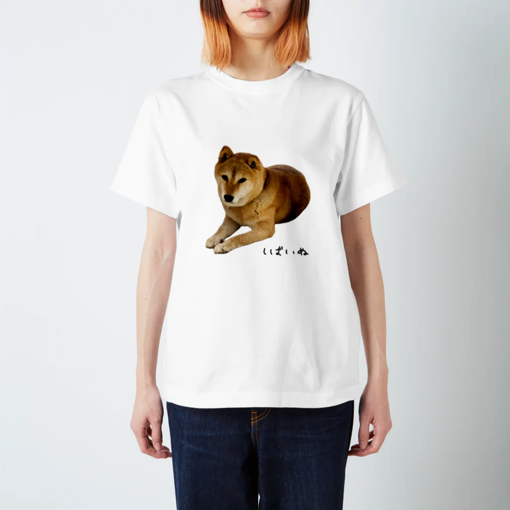 柴犬しばわんこhana873の伏せ？してる柴犬さん Regular Fit T-Shirt