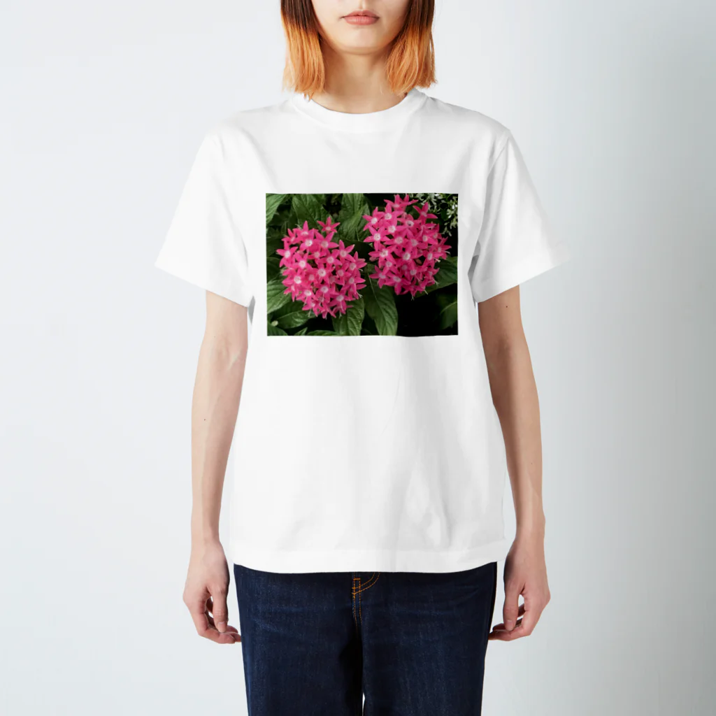 made32kurimuのレッドフラワー🌺 スタンダードTシャツ