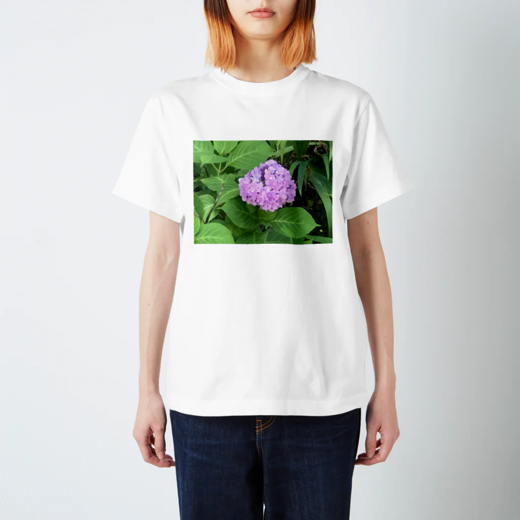 made32kurimuの健気に咲き乱れる紫陽花 Regular Fit T-Shirt