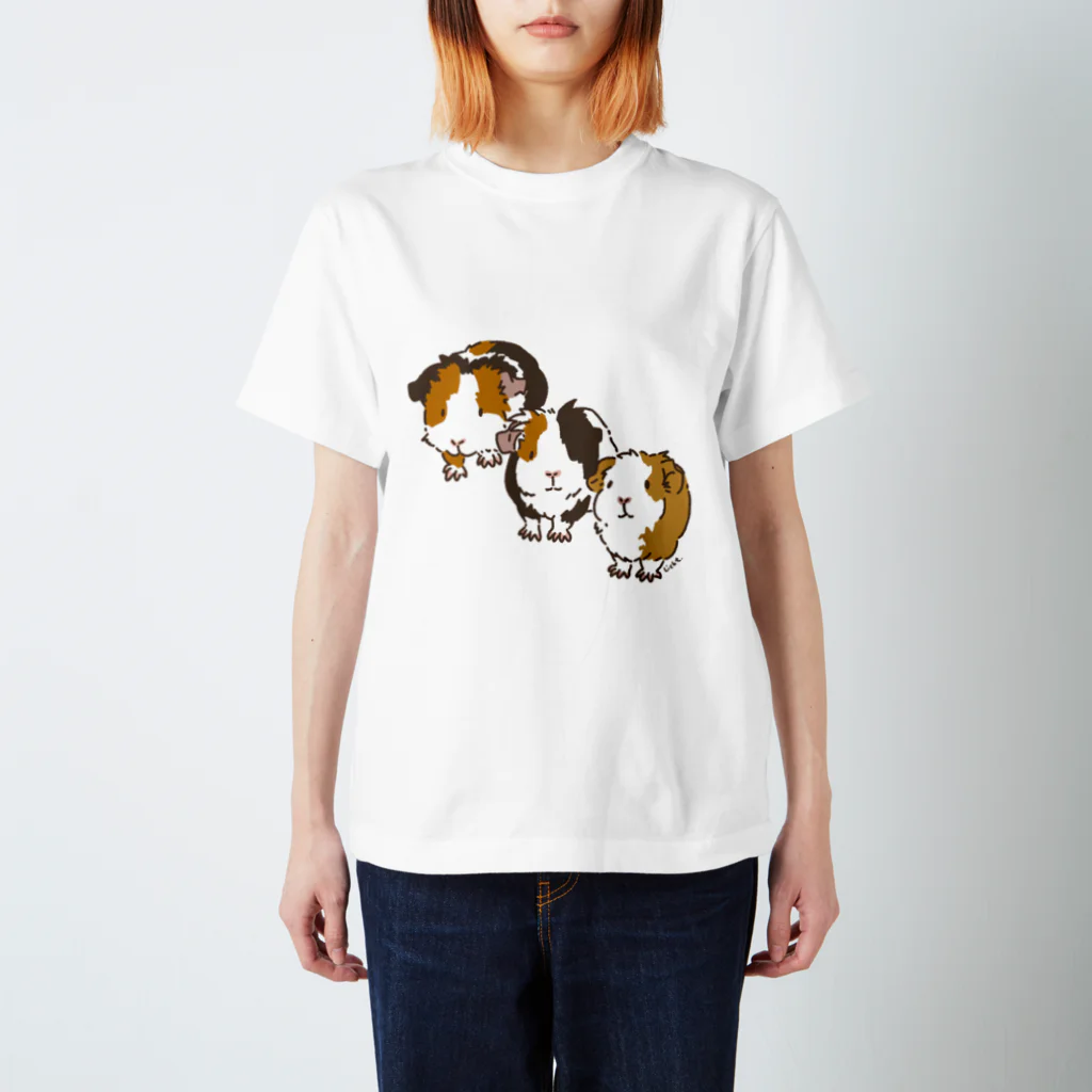 Lichtmuhleのモルモットのスパイシーズ01 Regular Fit T-Shirt