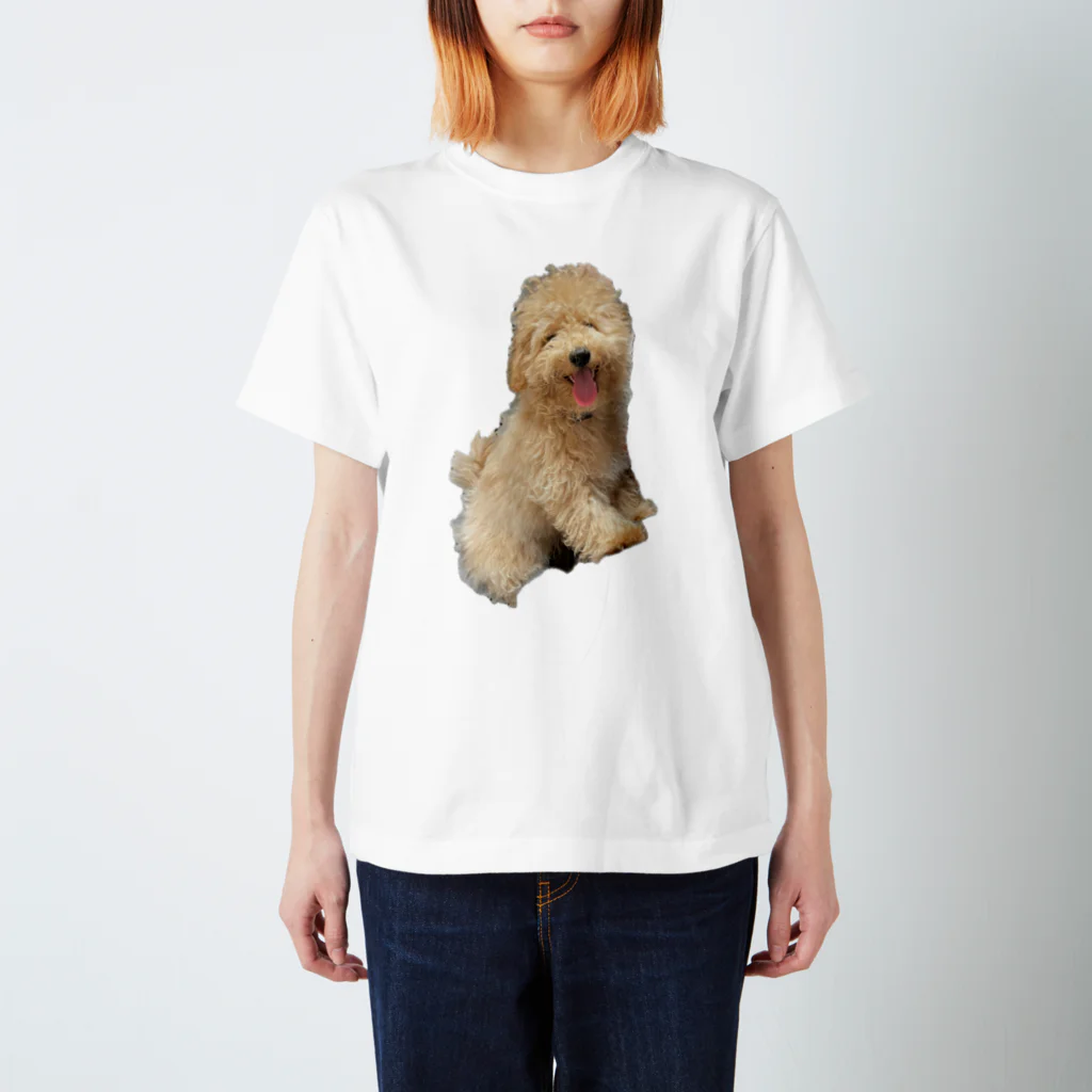 🐼ぷくぷくぱんだ🐾のふうたさん スタンダードTシャツ