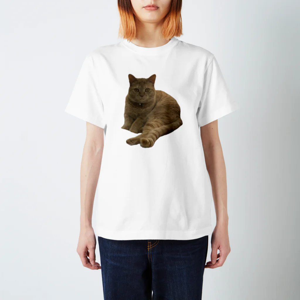 しゅう🍿のわがやの猫(こむぎ) スタンダードTシャツ