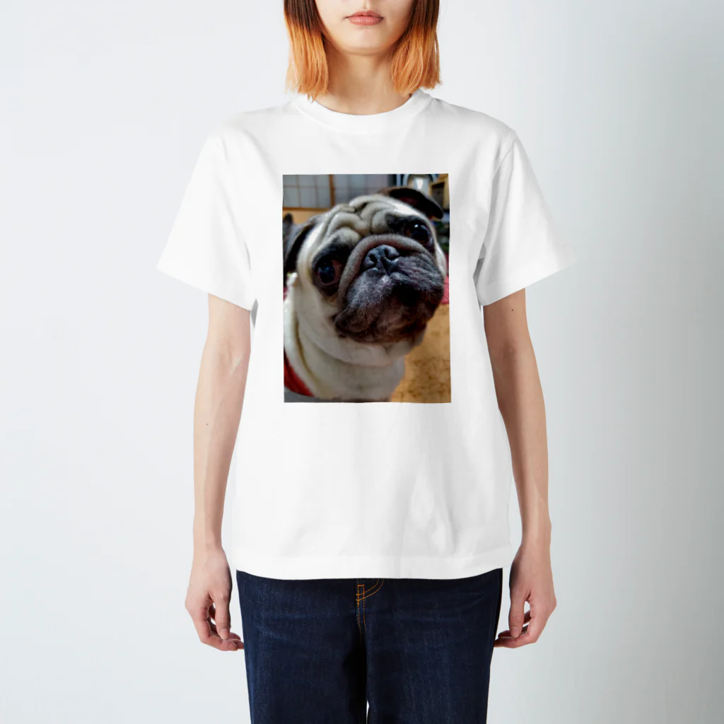 PaguparkのPugのぱぐお スタンダードTシャツ