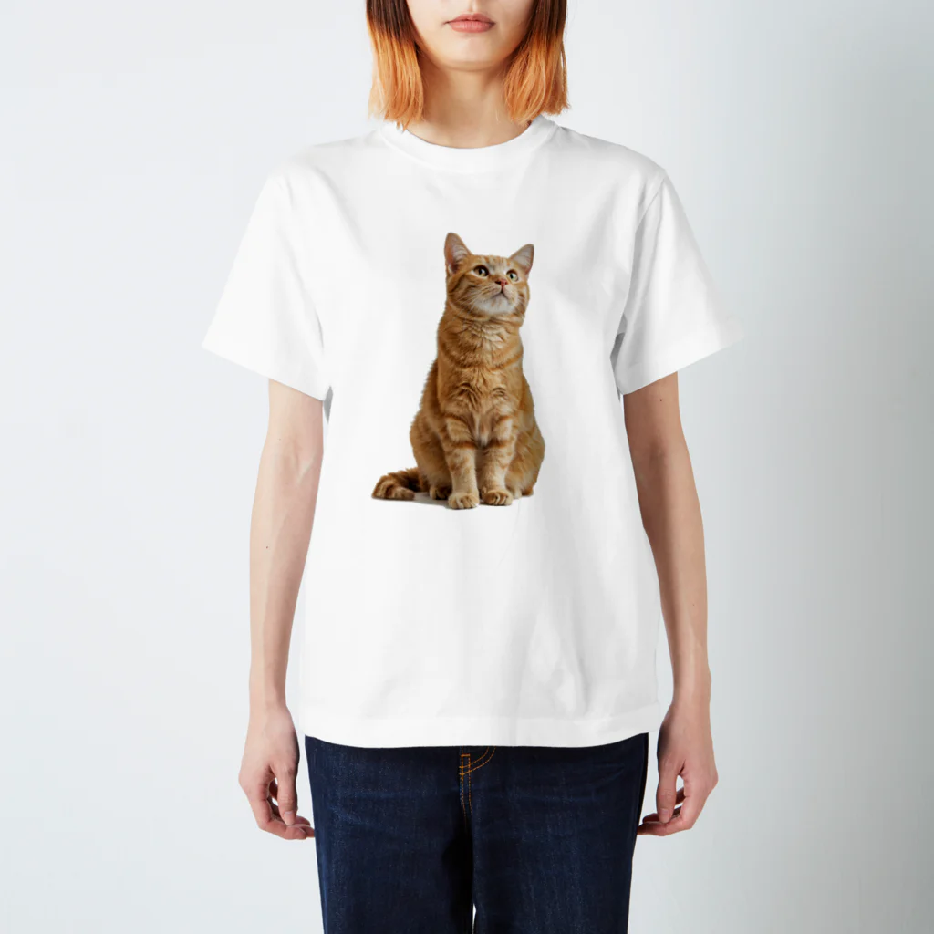 Spoiledのねこのペルくん スタンダードTシャツ