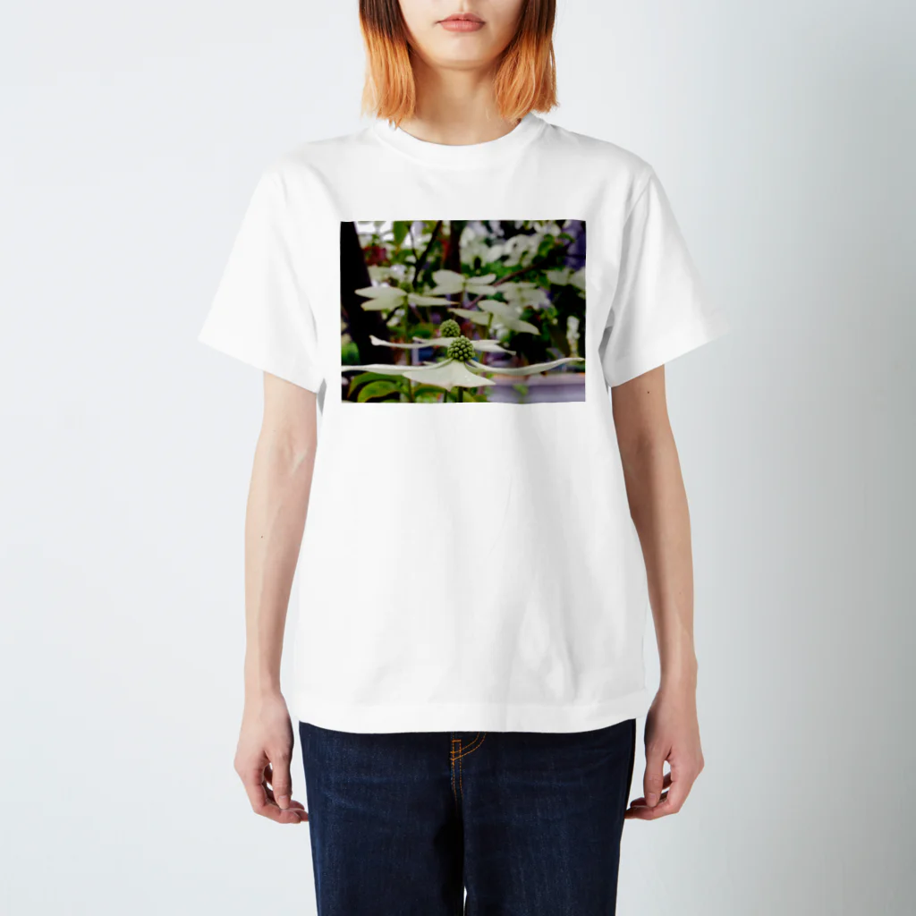 水族館のophelia Regular Fit T-Shirt