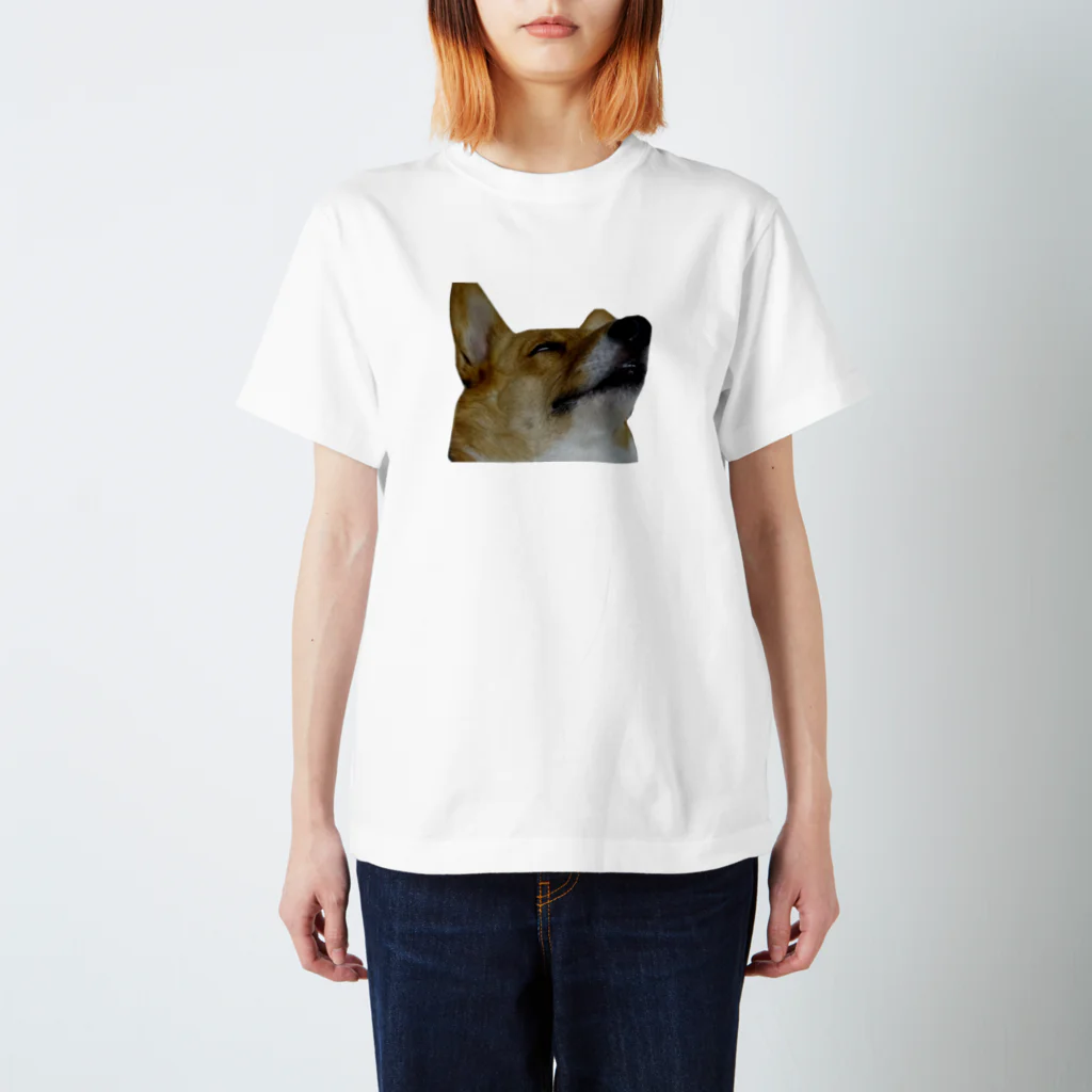 umino ASMRの犬の寝顔 Regular Fit T-Shirt