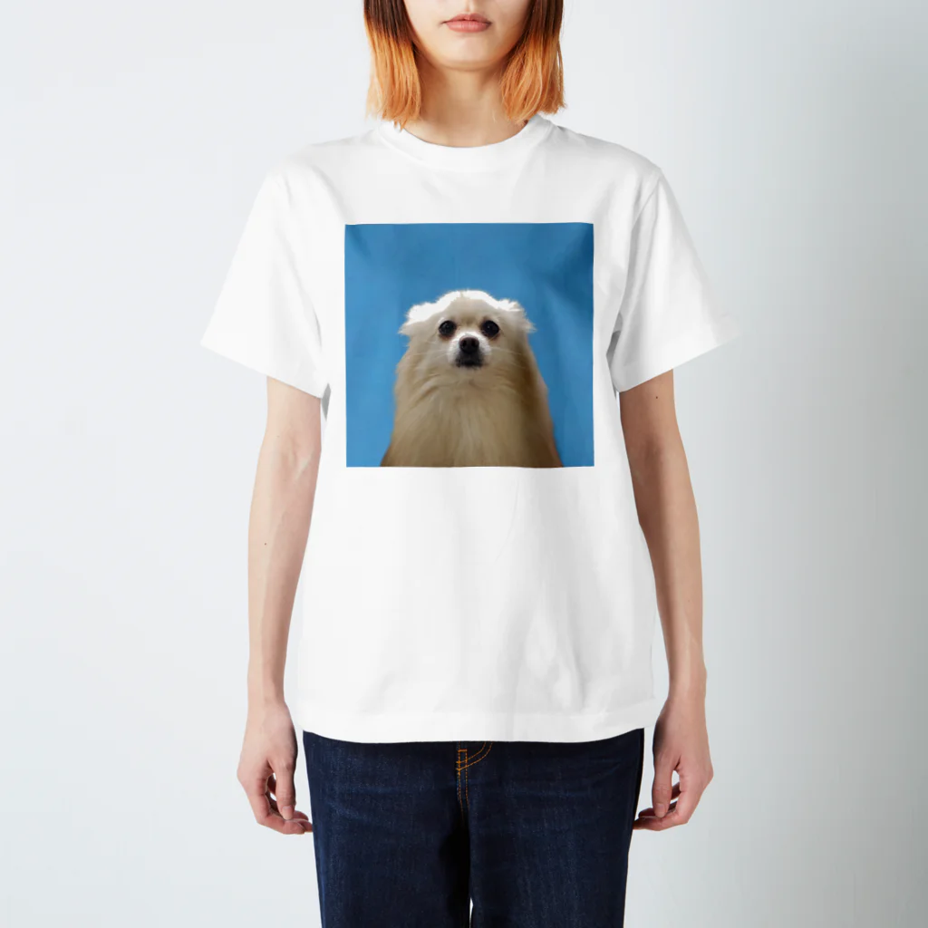 うるマートの証明写真風のうる Regular Fit T-Shirt