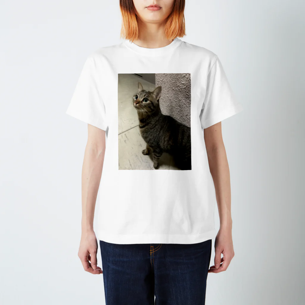 みぃにゃんのどうしたみぃにゃん Regular Fit T-Shirt