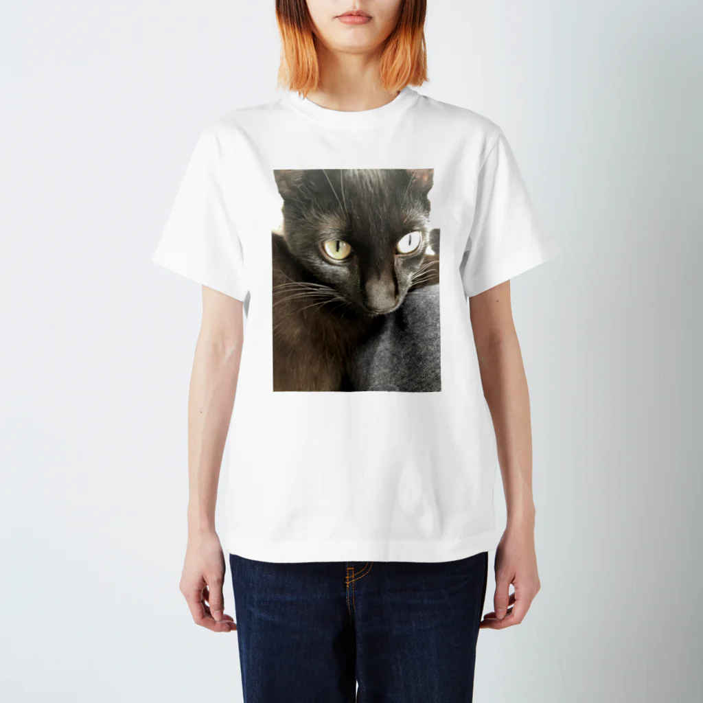 なまちゃのねこのアツシ Regular Fit T-Shirt