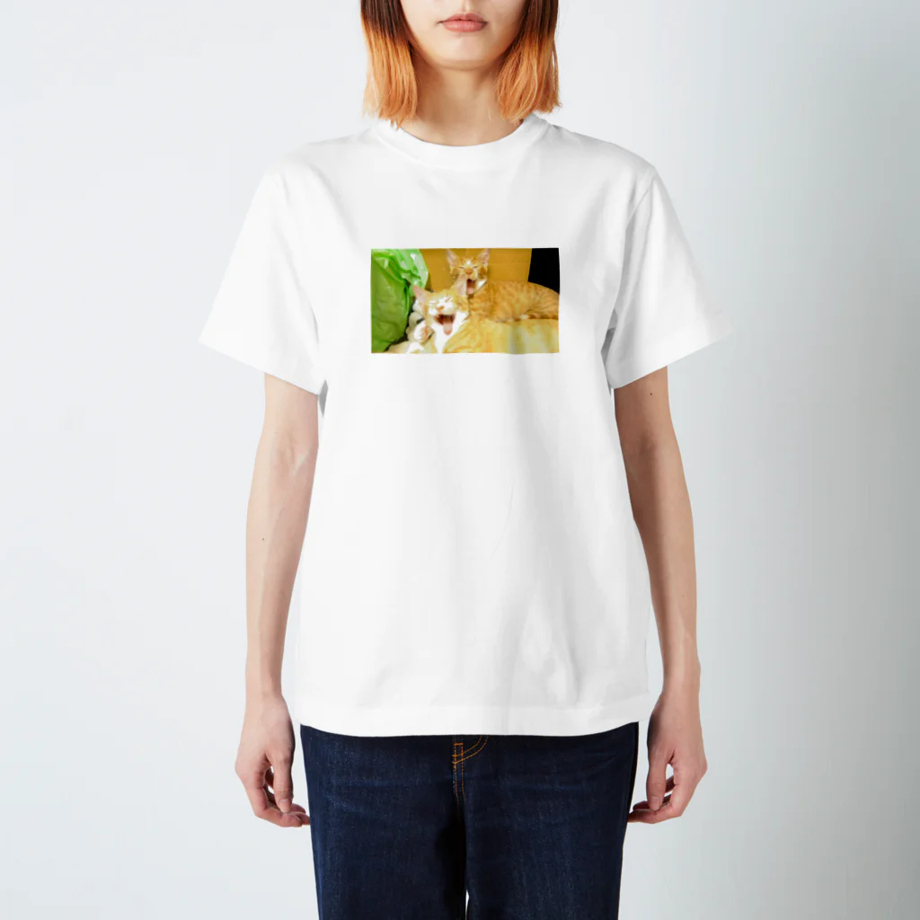 Irresponsible worldの猫2 スタンダードTシャツ