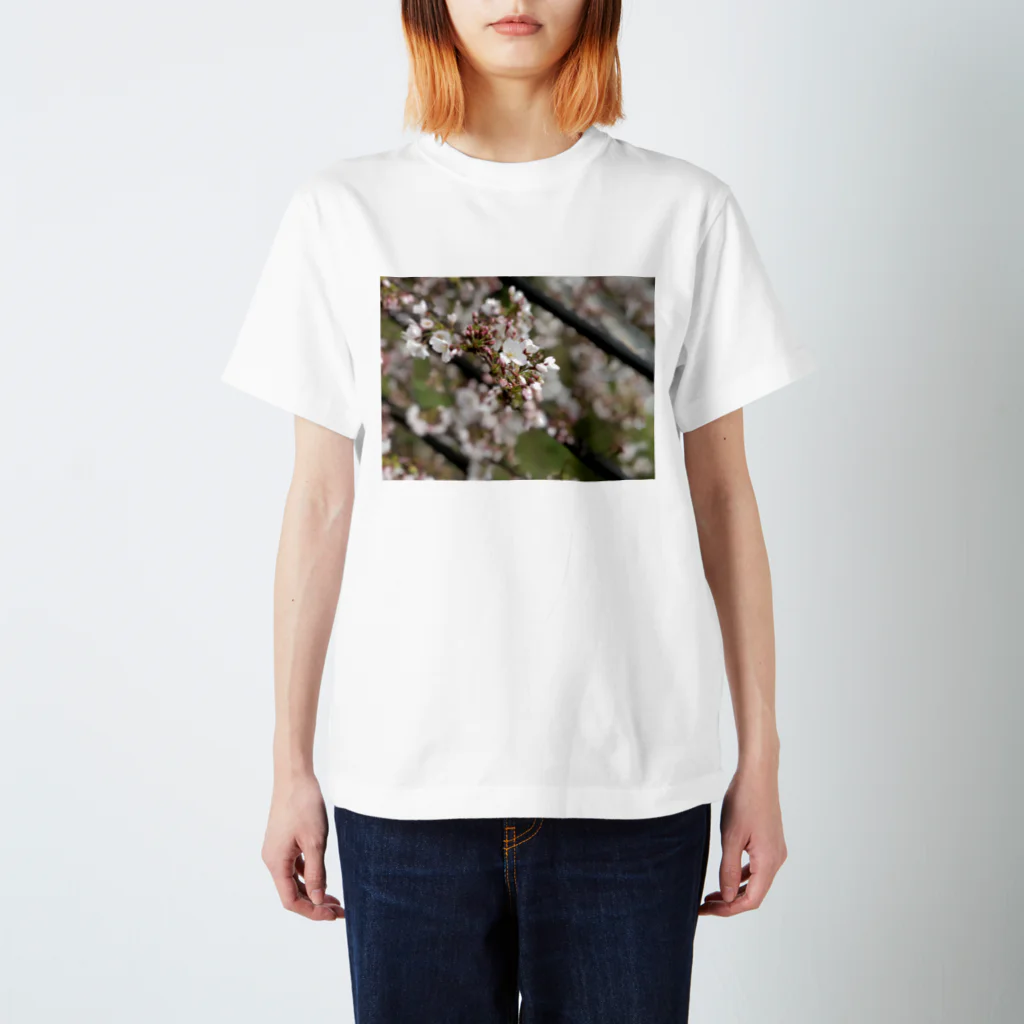 お花畑の春の桜 Regular Fit T-Shirt