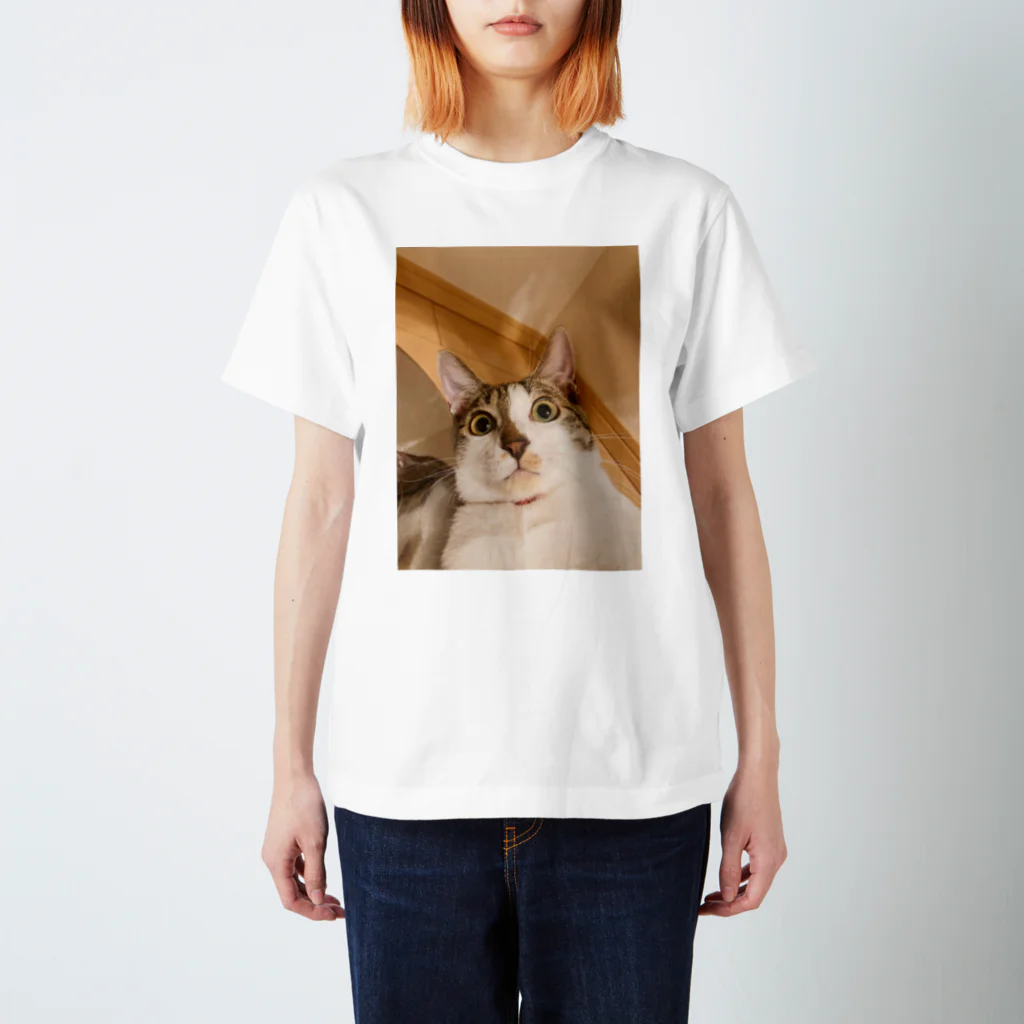 carlosのOMG my Cat Regular Fit T-Shirt