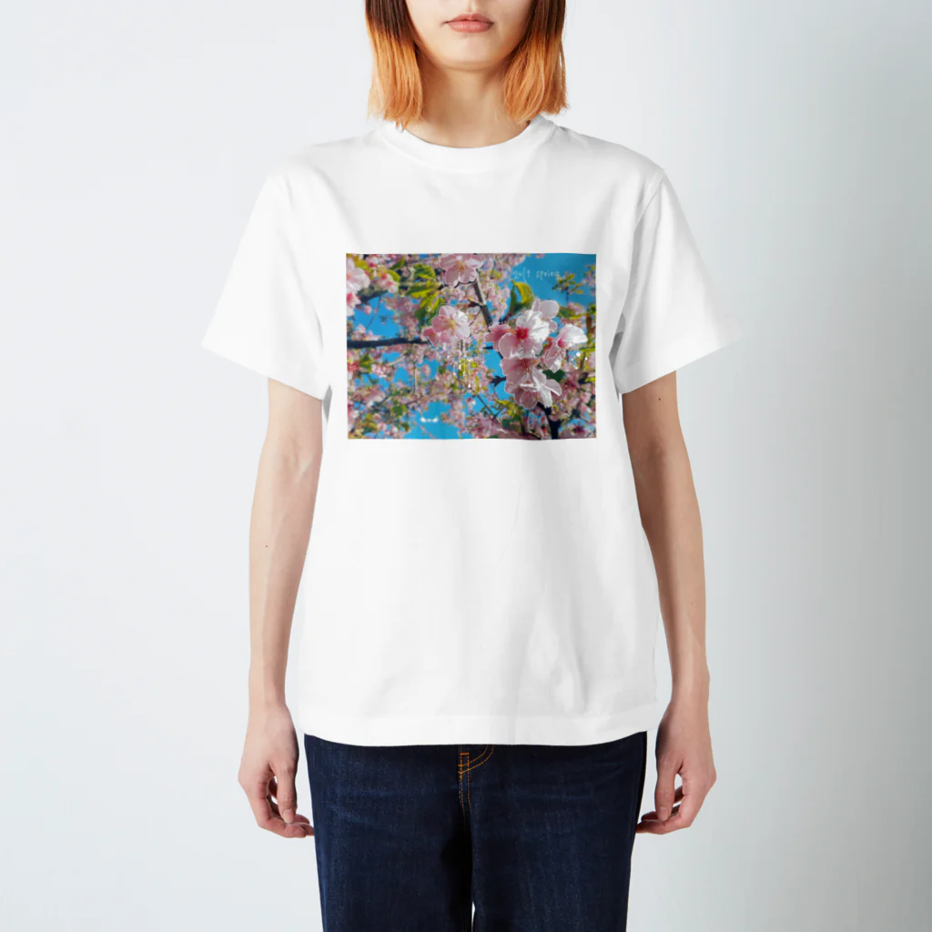 rumaruの葉桜 スタンダードTシャツ