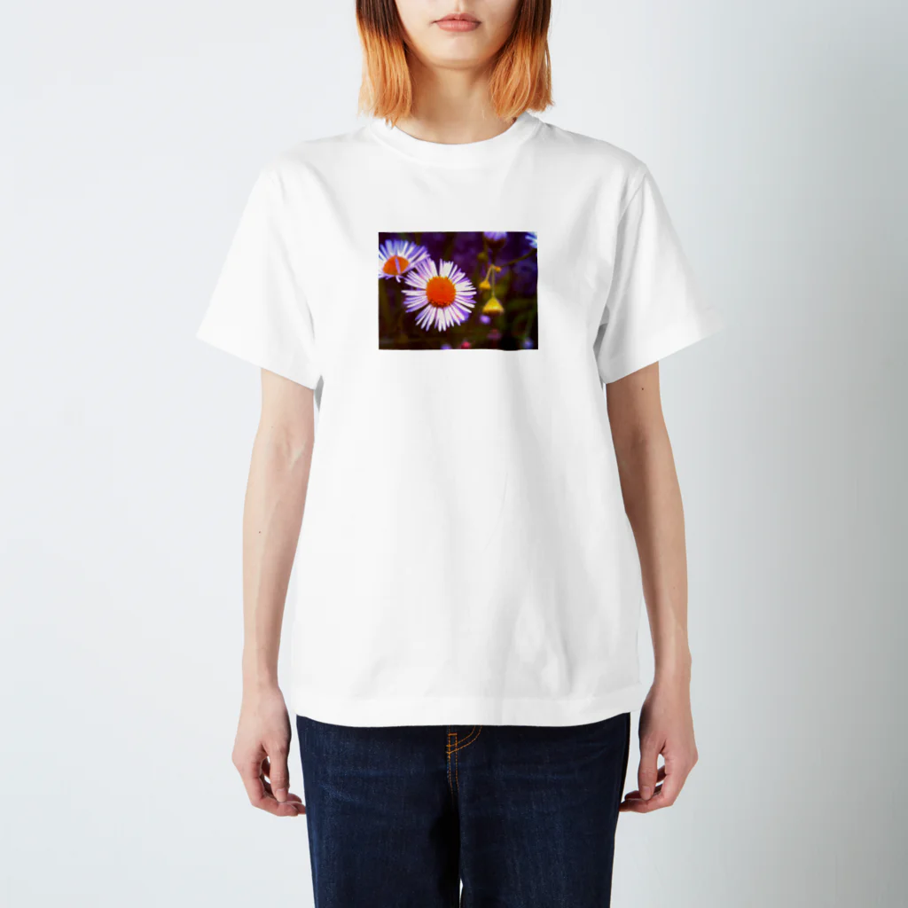 WARITOSUKIのノリで撮ったその辺に咲いてる花 スタンダードTシャツ