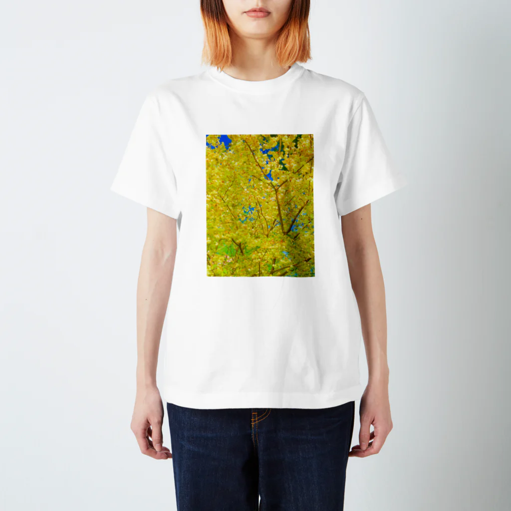 33GaMaのgreen-gold-flower スタンダードTシャツ