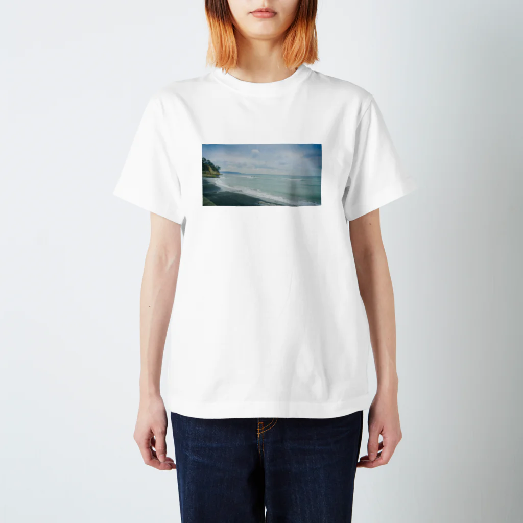 彩(   ᷇࿀ ᷆  )水の雨の鎌倉（海） スタンダードTシャツ