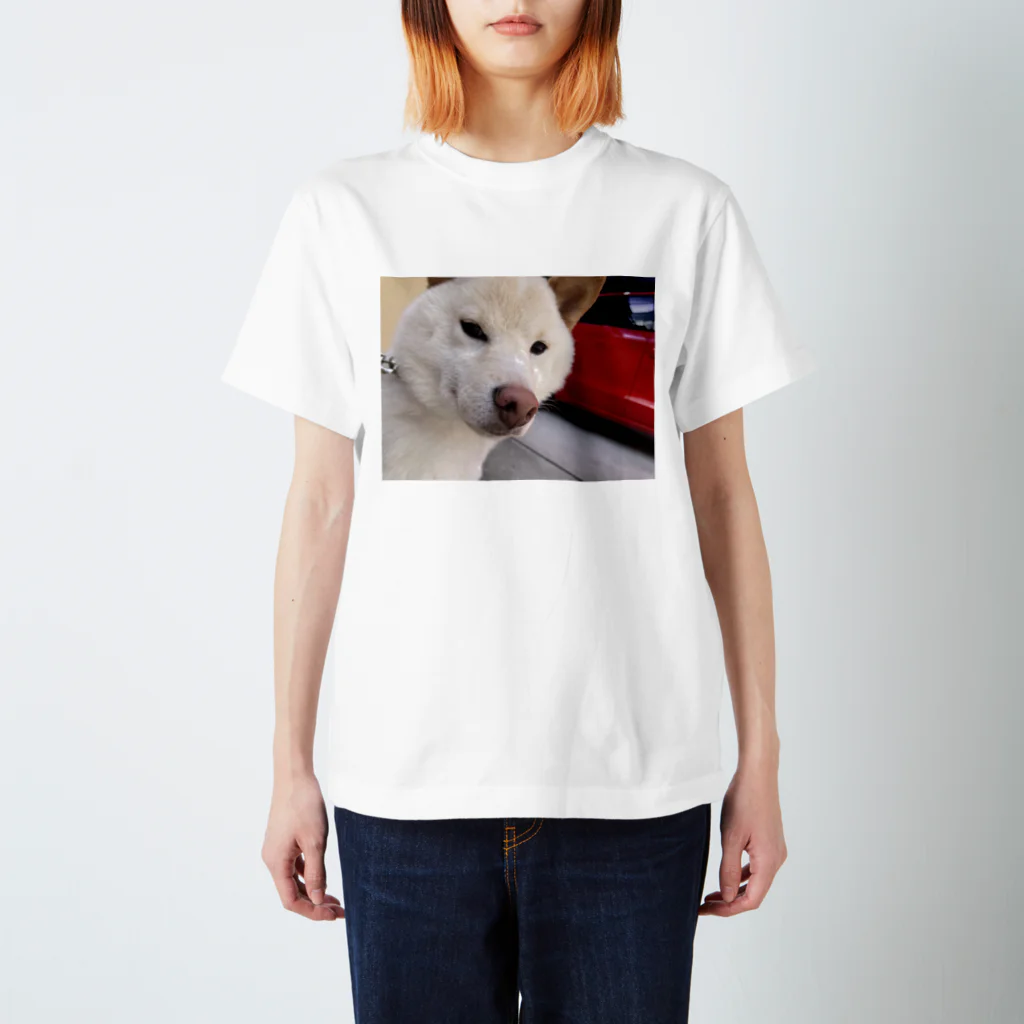 チームらんまるくん🐶のキリッとしたらんまるくん スタンダードTシャツ