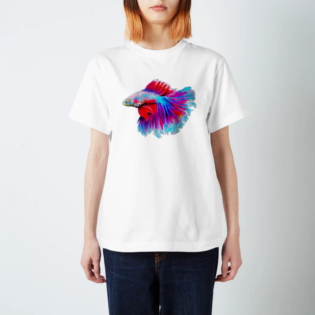 PaCHiのべた Regular Fit T-Shirt