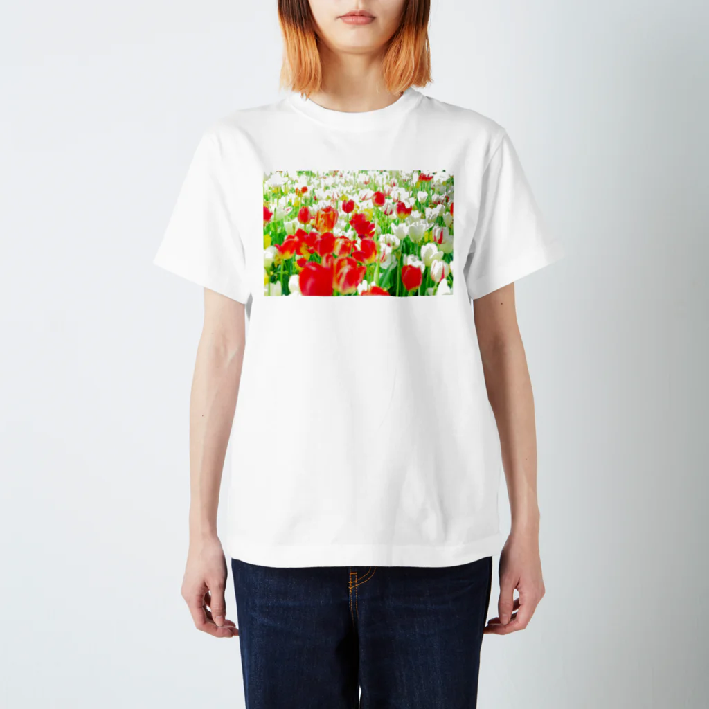 rinrin-goのあかしろきいろ Regular Fit T-Shirt