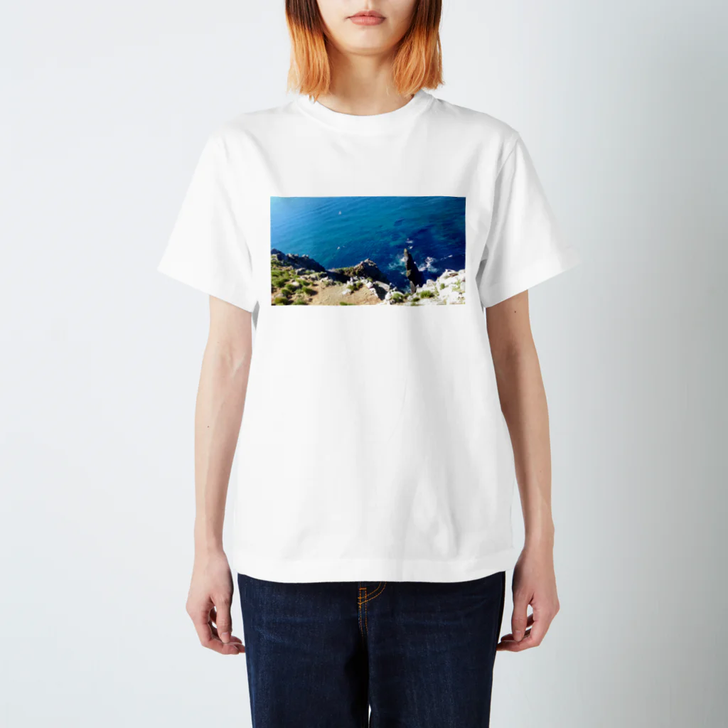 淡海のteuru Regular Fit T-Shirt