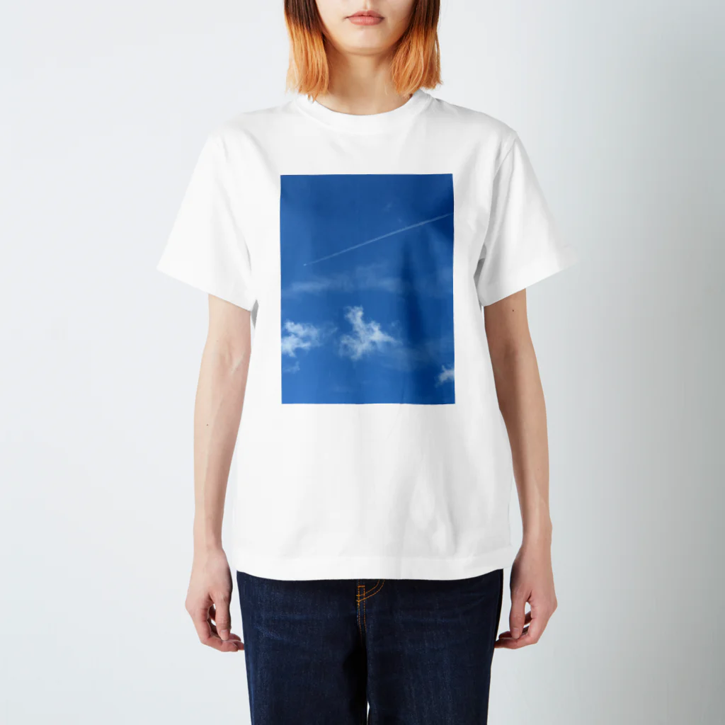 空花の飛行機雲 Regular Fit T-Shirt