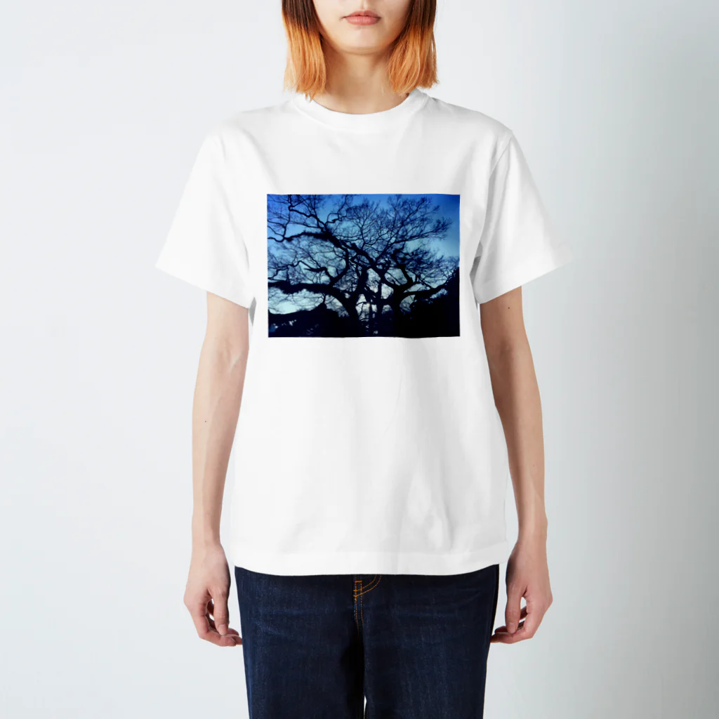 ぽんのblue tree スタンダードTシャツ