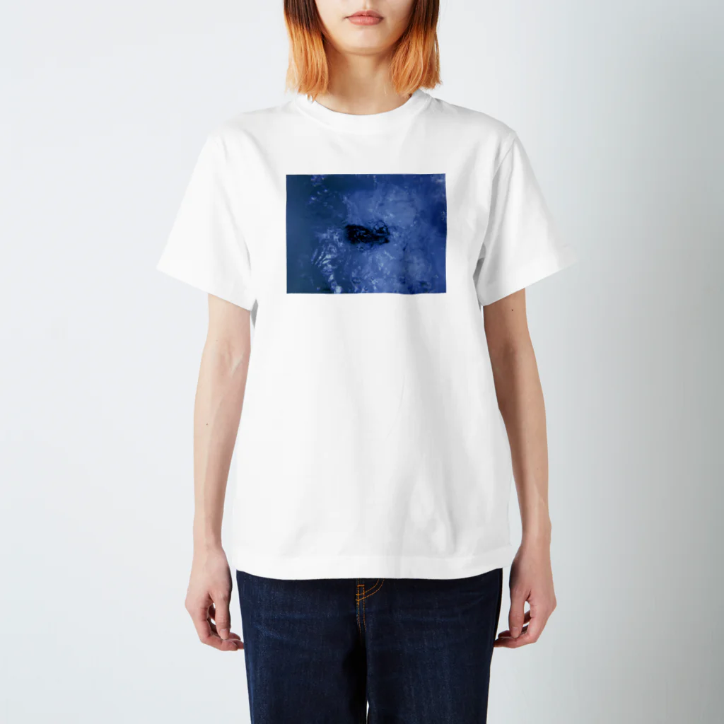 Random WalkerのDive. Tee スタンダードTシャツ