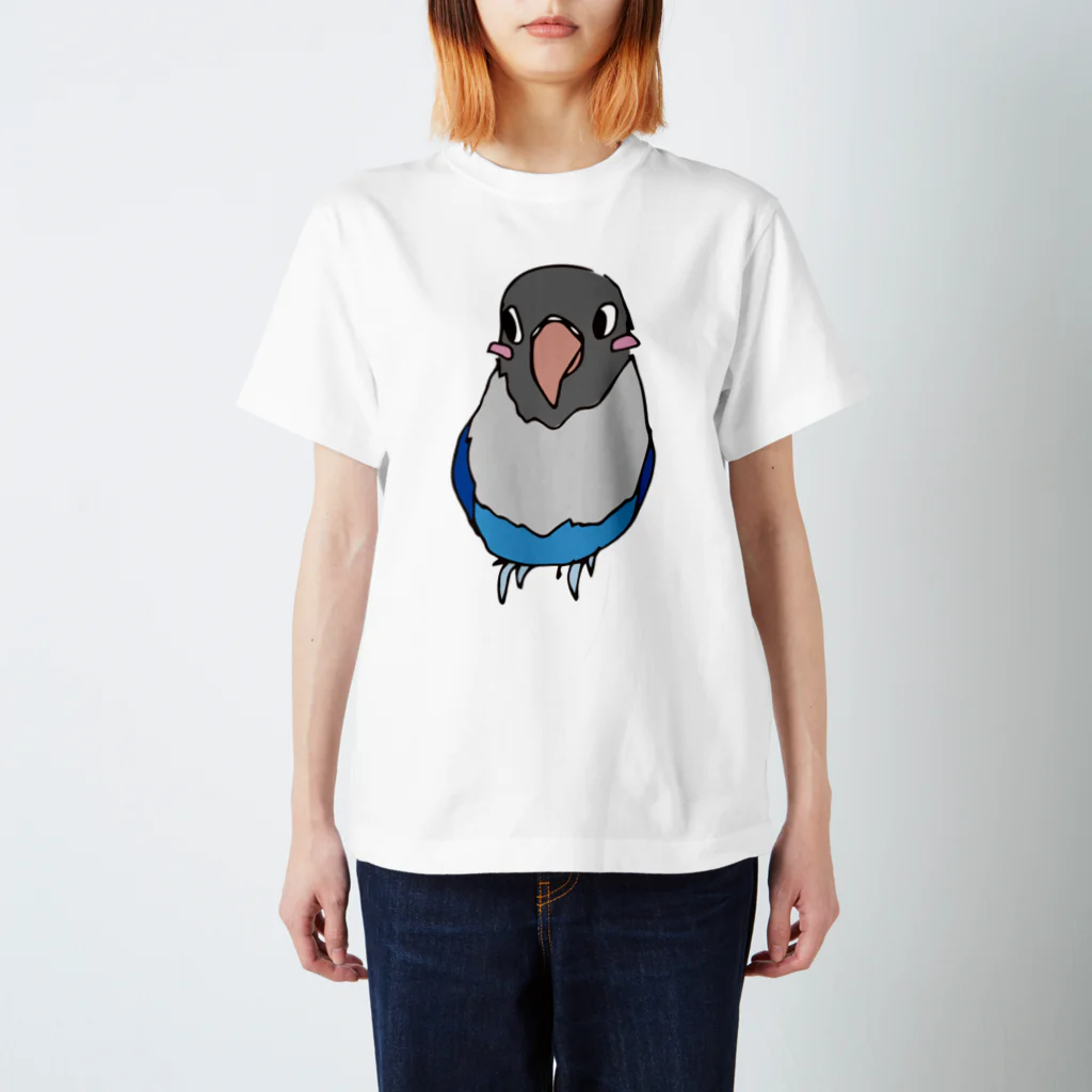 TESHIGOTOのブルーボタンインコさん Regular Fit T-Shirt