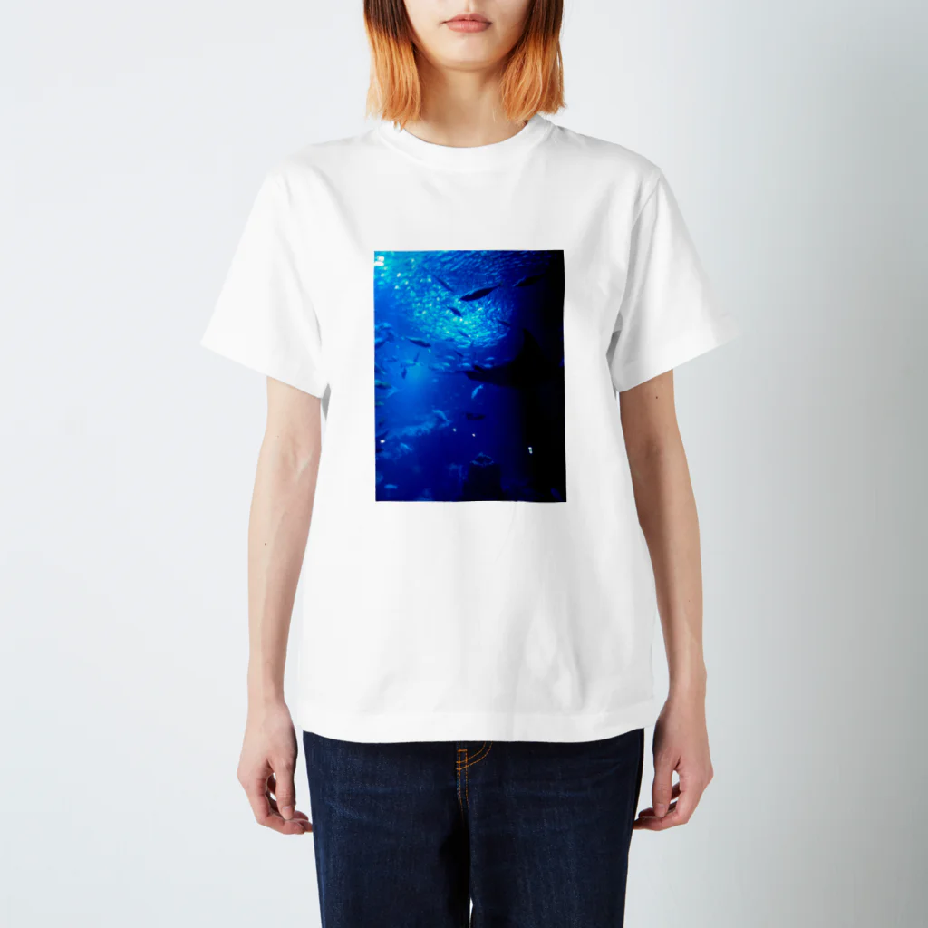 Tricolor-Catの深海の示現。 スタンダードTシャツ