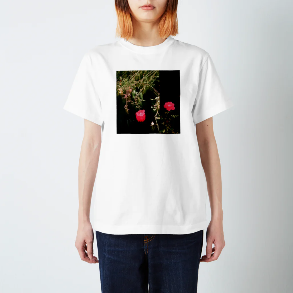 SOTA_SHIMADAのrose  スタンダードTシャツ