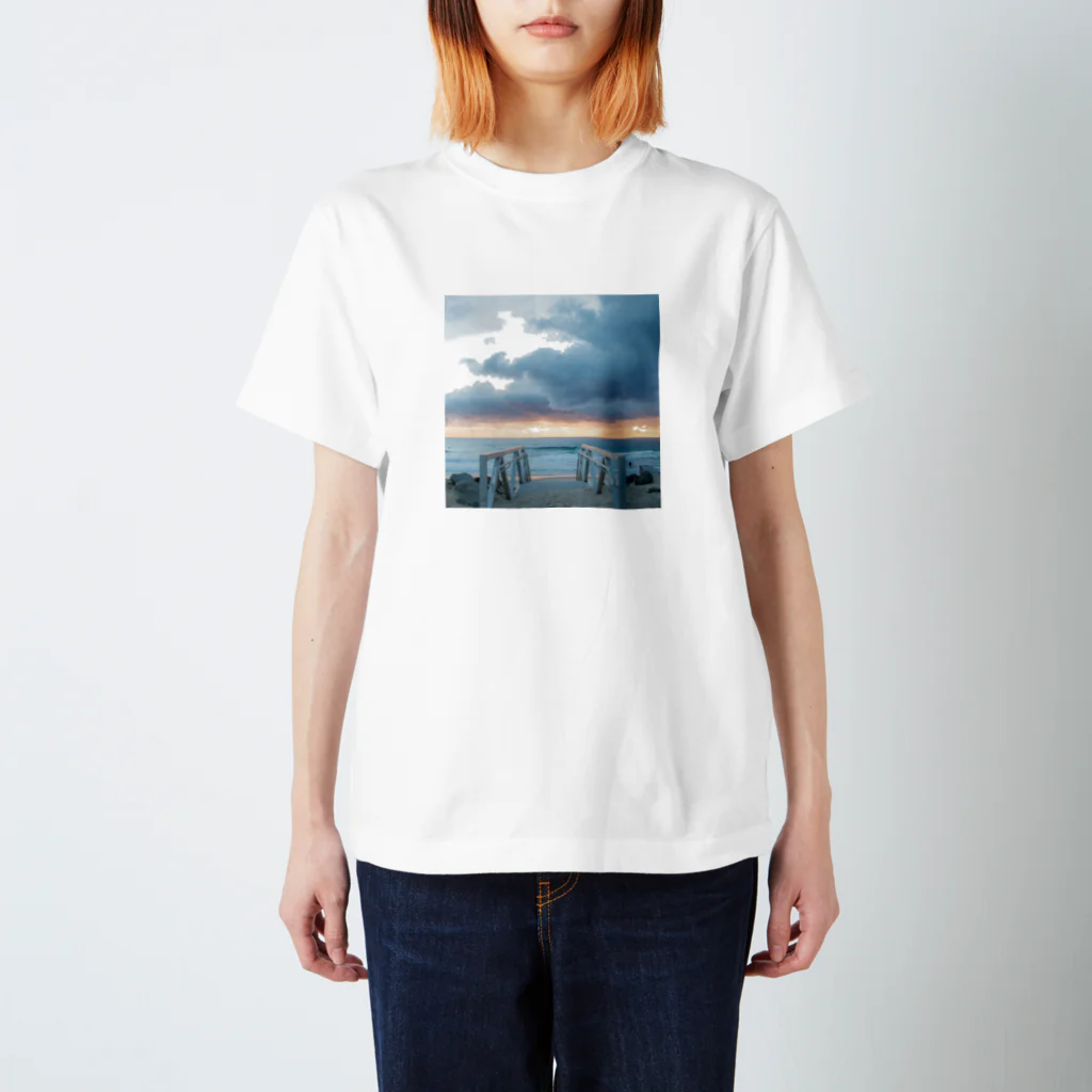 t_toridoriのChill Regular Fit T-Shirt