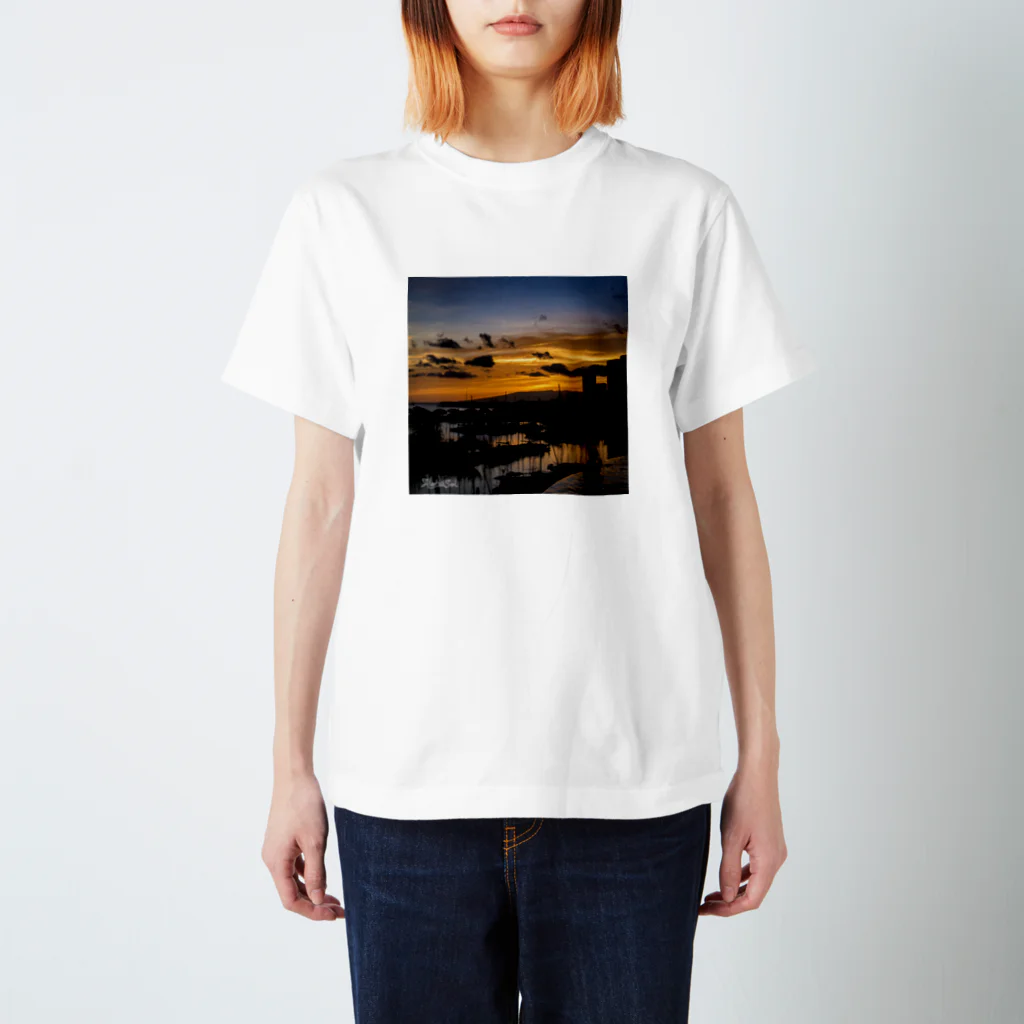 AlohaSolのWaikiki Sunset スタンダードTシャツ