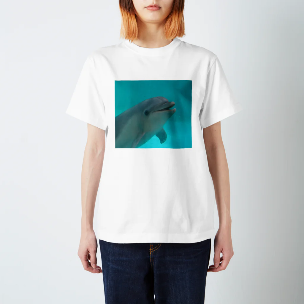 kunchabouのイルカのアイちゃん♡ スタンダードTシャツ