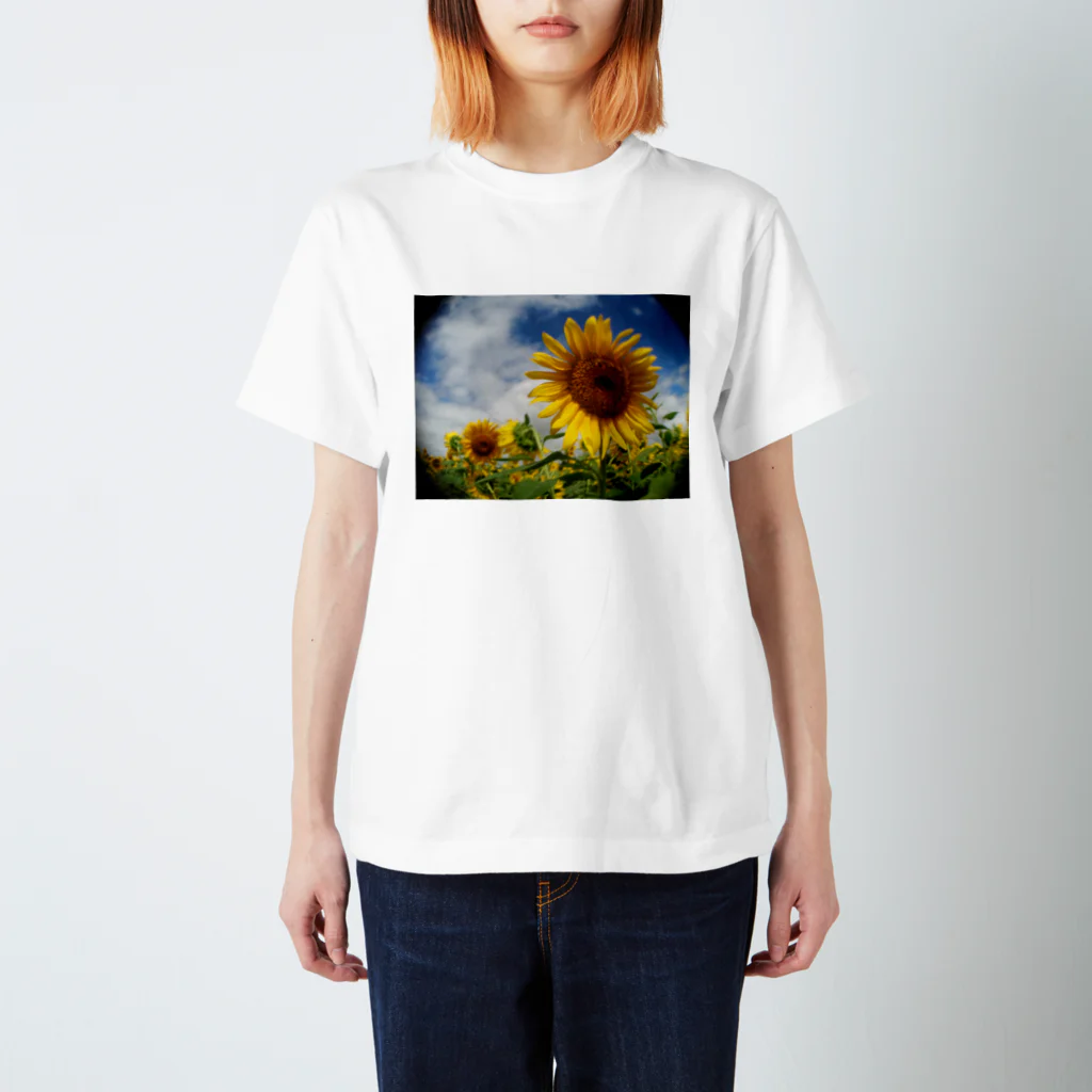 AXL(アクセル)の夏の花 向日葵 スタンダードTシャツ