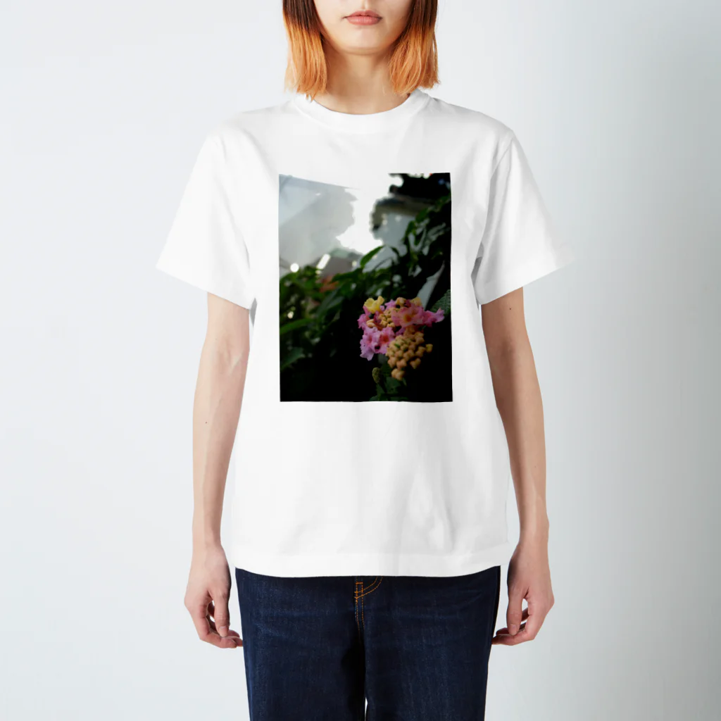 まさしの咲き始めの紫陽花 Regular Fit T-Shirt