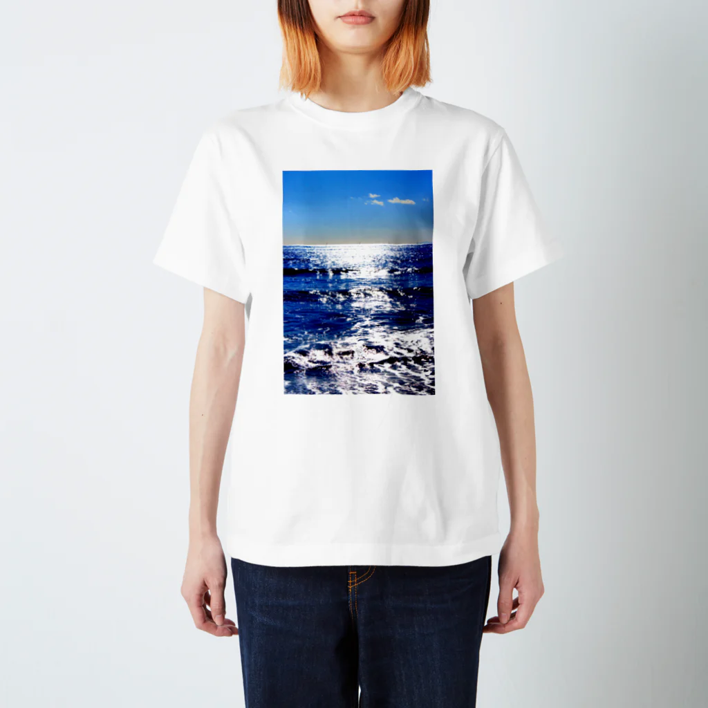 marinaの青海 Regular Fit T-Shirt