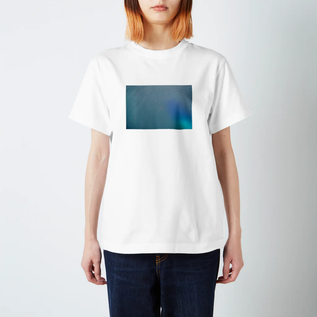 yuna yagiのjelly fish  Regular Fit T-Shirt