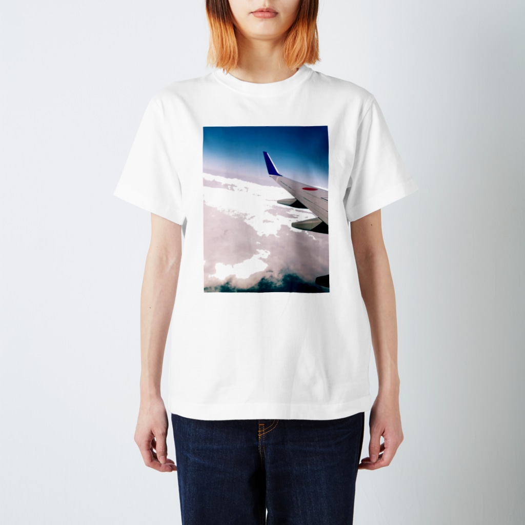 🍁紅葉🍁の飛行機と空 Regular Fit T-Shirt