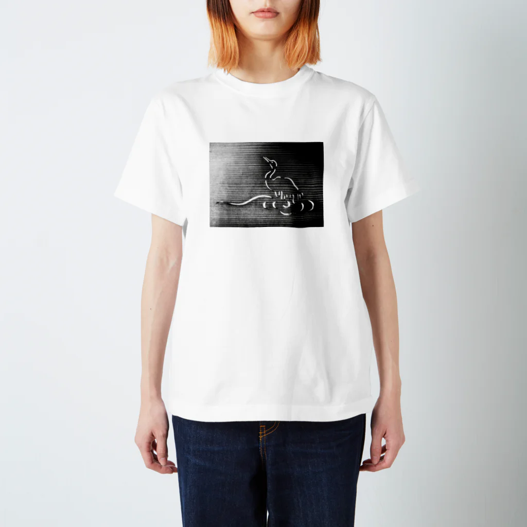 hiroshi_fujiのranma スタンダードTシャツ