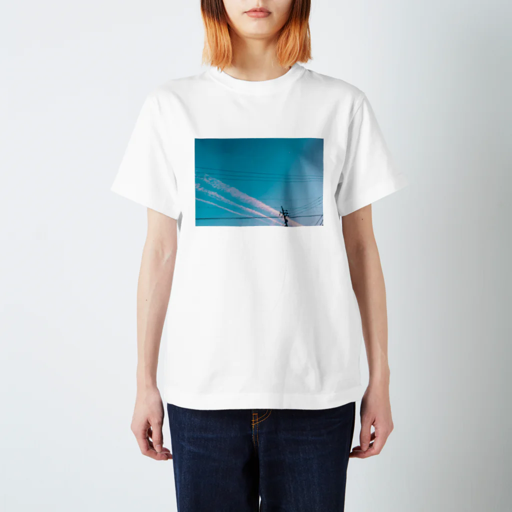 ぴくみんのsky Regular Fit T-Shirt